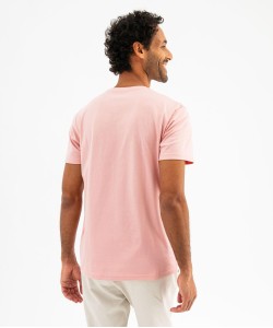 16WALAI rose
